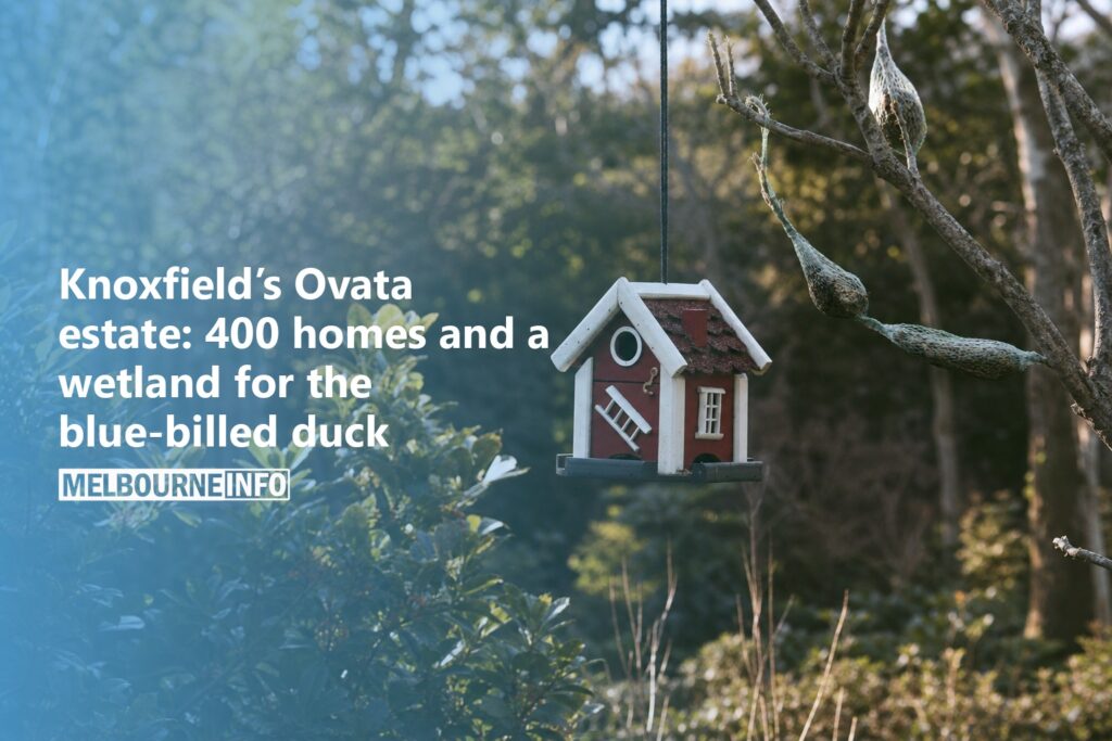 AI Generated - Knoxfield’s Ovata estate: 400 homes and a wetland for the blue-billed duck