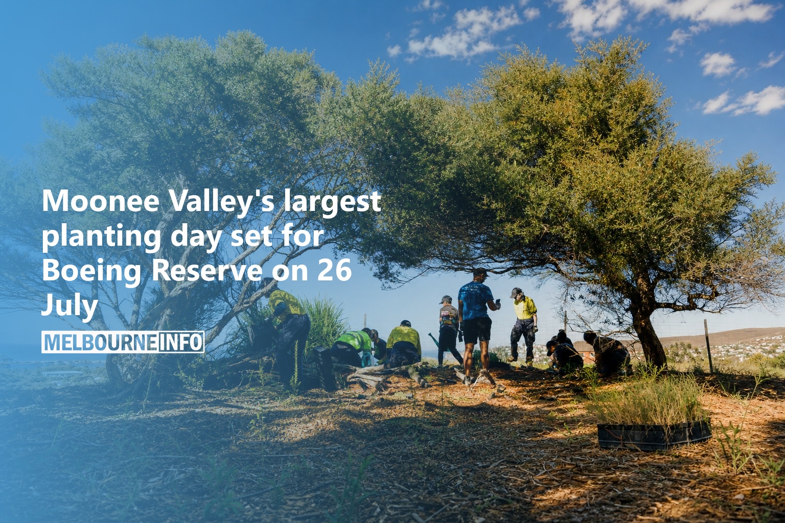 AI Generated - Moonee Valley's largest planting day set for Boeing Reserve on 26 July